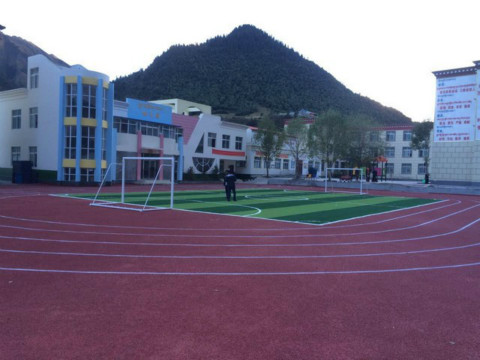 伍家岗区塑胶跑道厂家