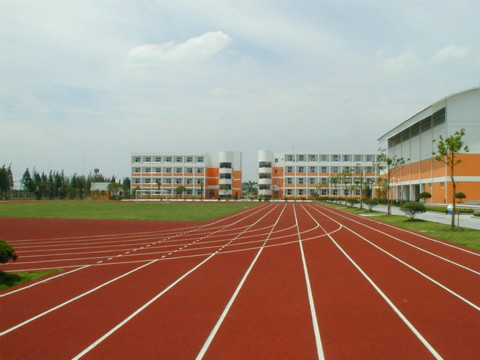 榆次区塑胶跑道厂家