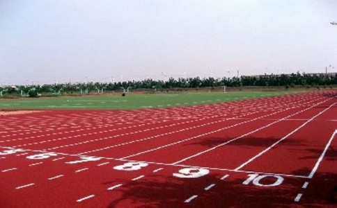 塑胶球场
